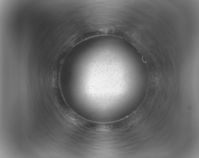 X0000068830656200605081214