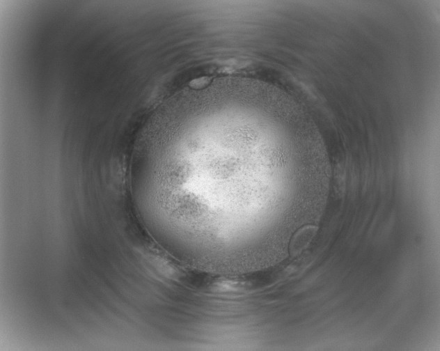 X0000068830657200605081214