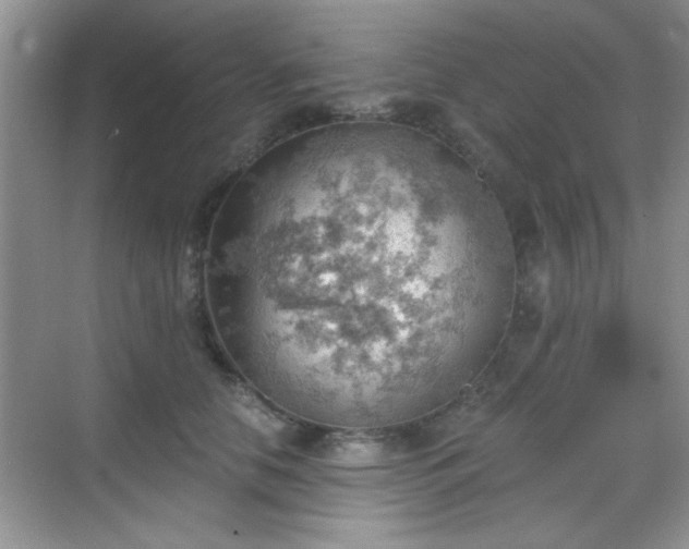 X0000068830658200605081214