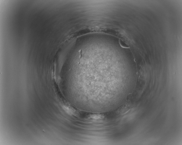 X0000068830659200605081214