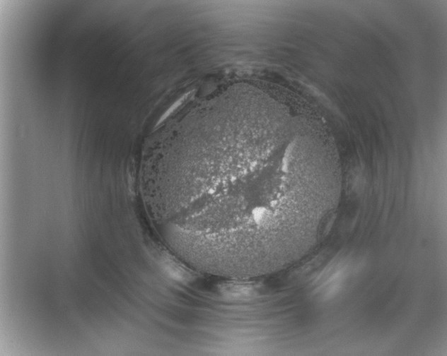 X0000068830661200605081215