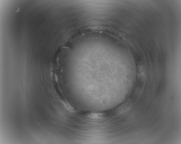 X0000068830664200605081215