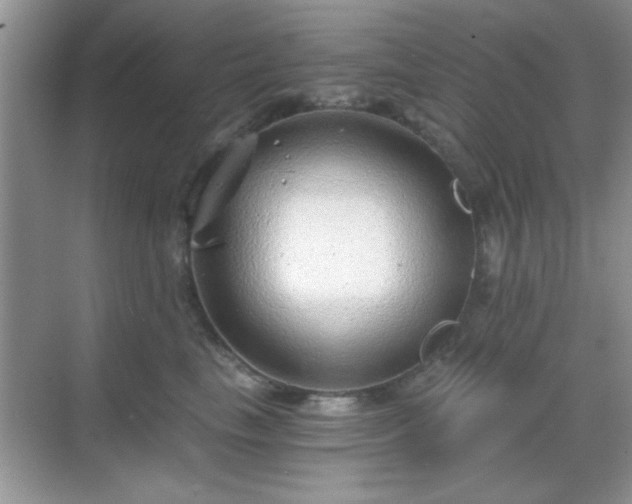 X0000068830665200605081215