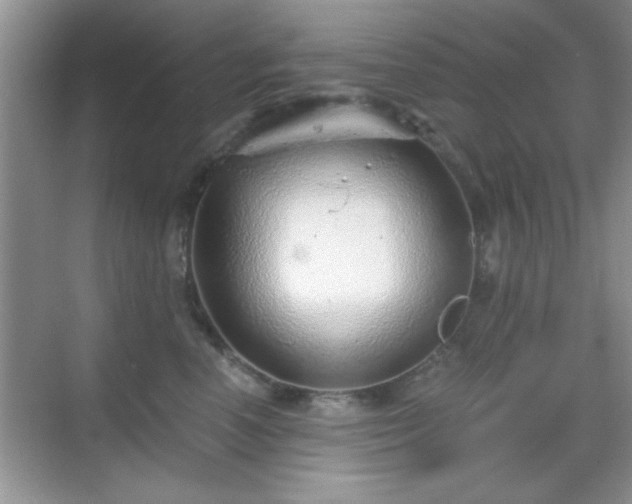 X0000068830666200605081215