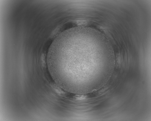 X0000068830667200605081215