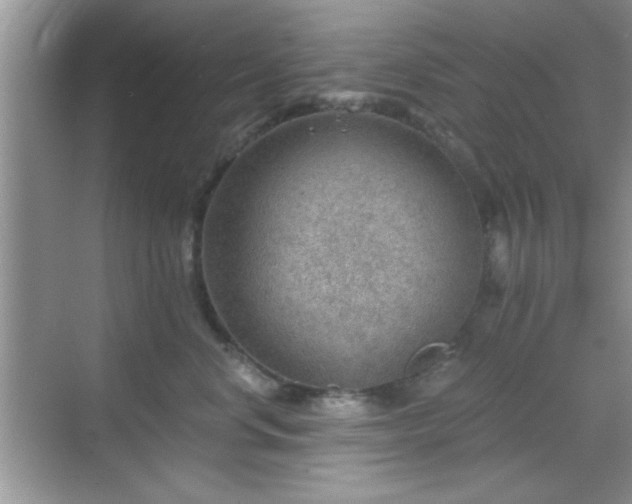 X0000068830668200605081215