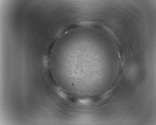 X0000068830669200605081215