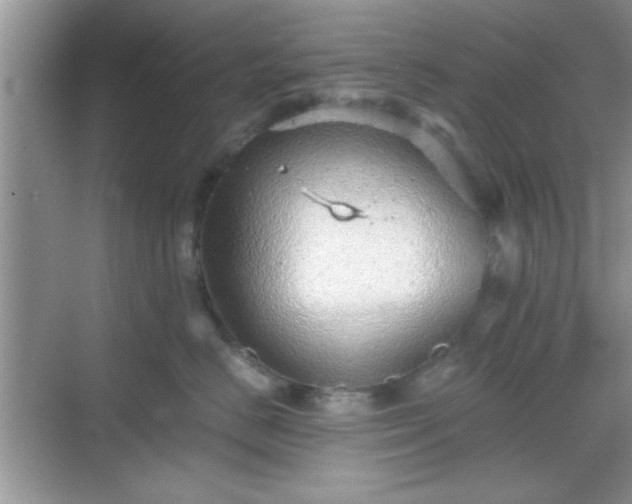 X0000068830670200605081215