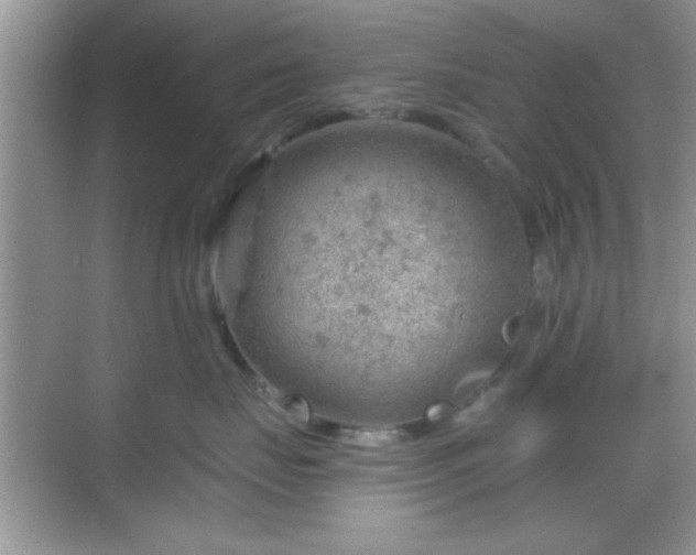 X0000068830671200605081215