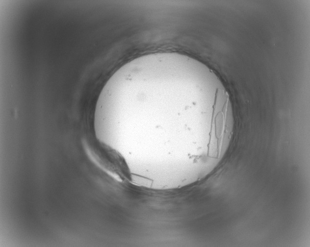 X0000068830672200605081215