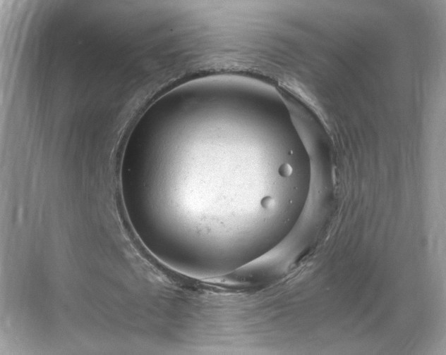 X0000068830673200605081214