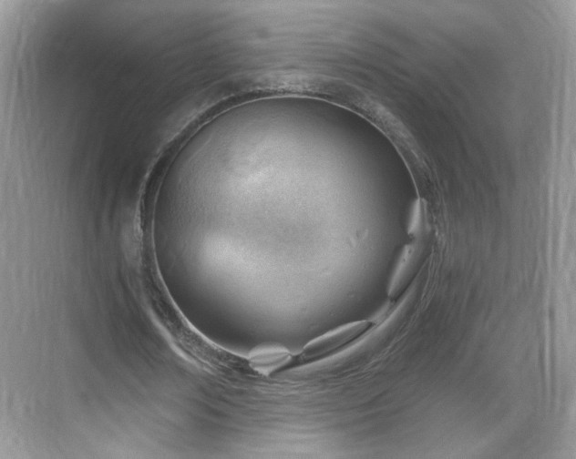 X0000068830674200605081214