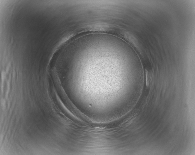 X0000068830675200605081214