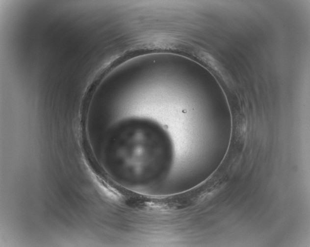 X0000068830677200605081214