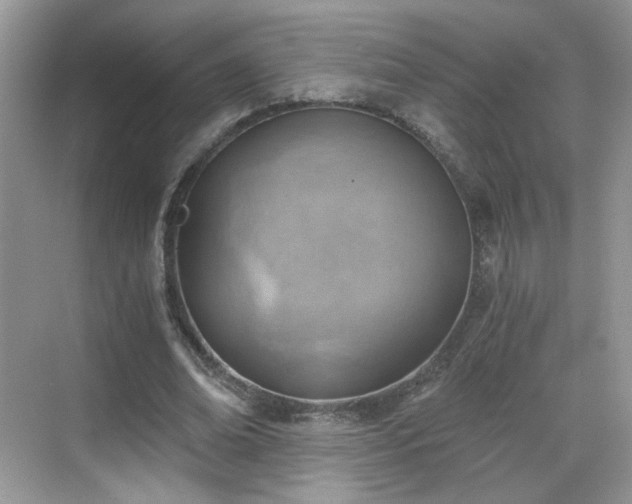 X0000068830678200605081214