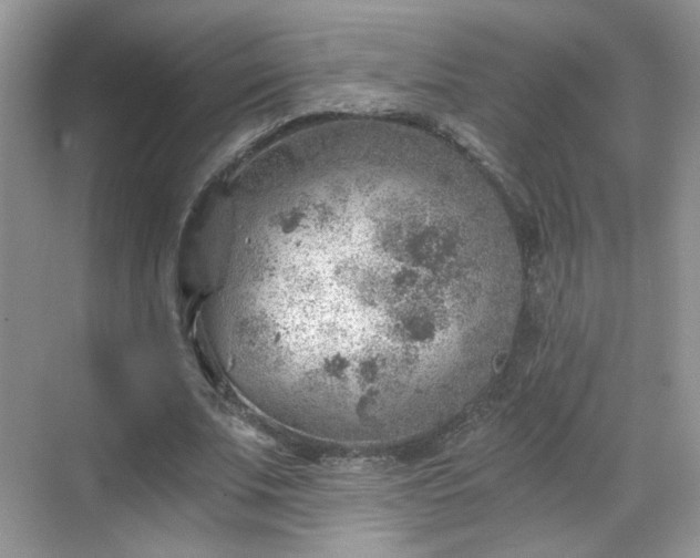 X0000068830679200605081214