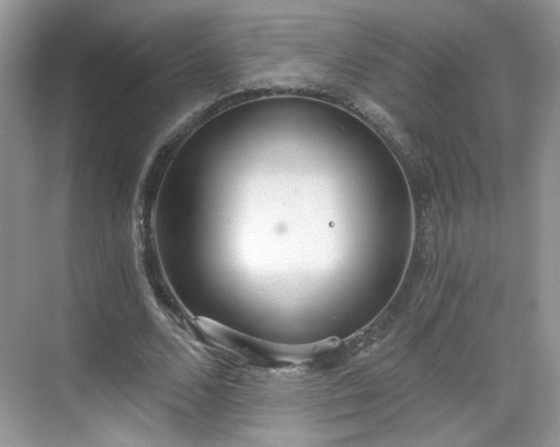 X0000068830680200605081214