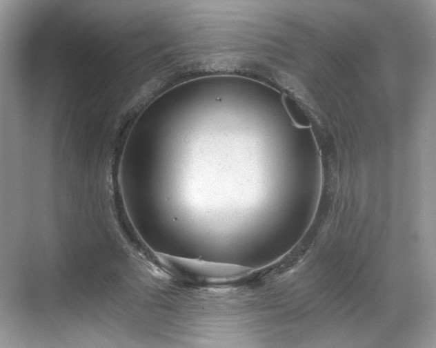 X0000068830681200605081214