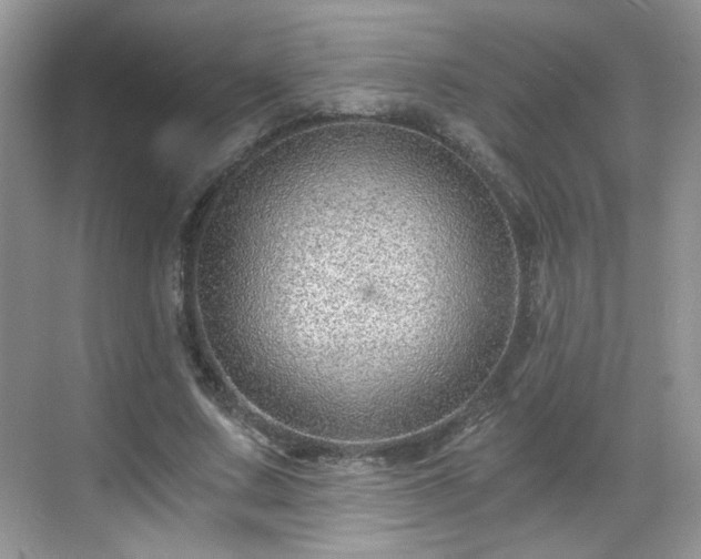 X0000068830683200605081214