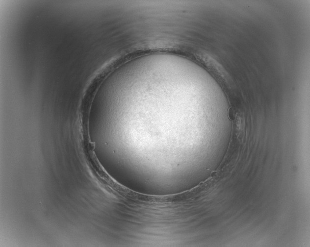 X0000068830684200605081214