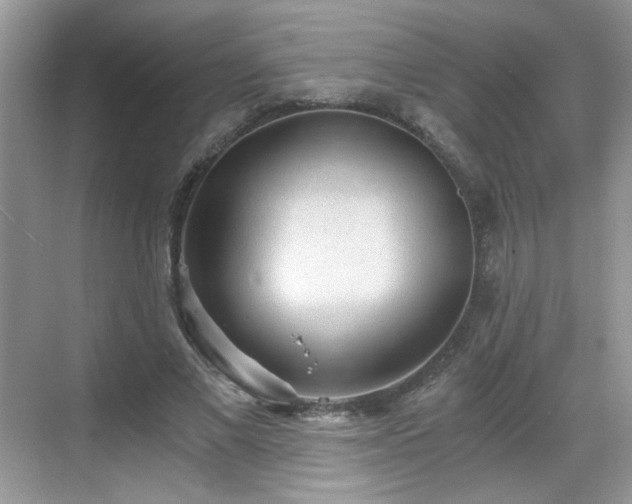 X0000068830685200605081214