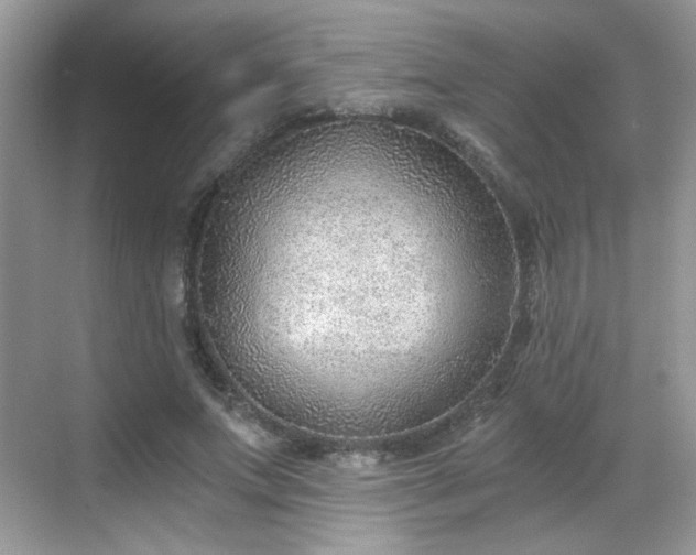 X0000068830687200605081214