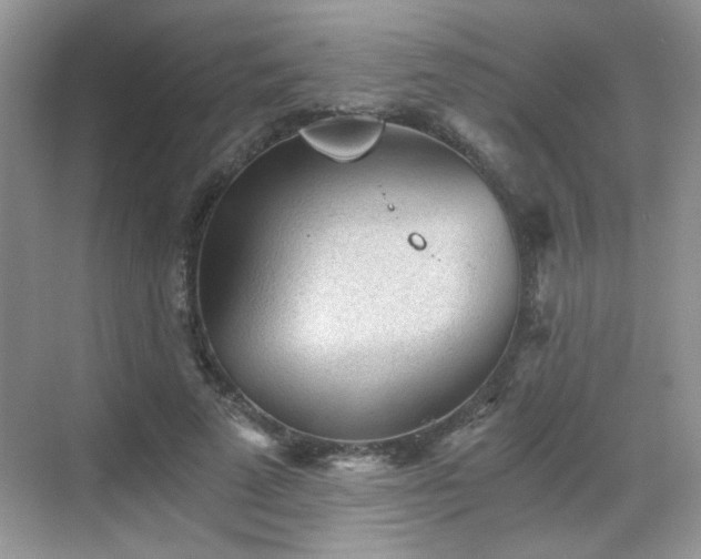 X0000068830689200605081214