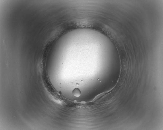 X0000068830690200605081214