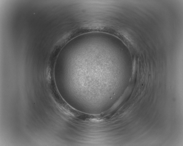 X0000068830692200605081214