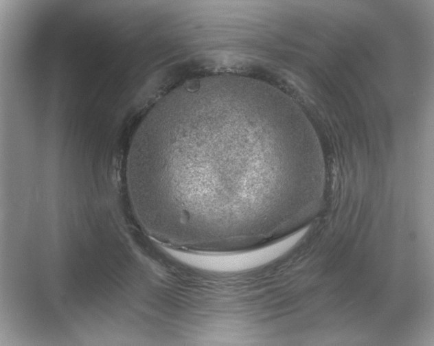 X0000068830695200605081214