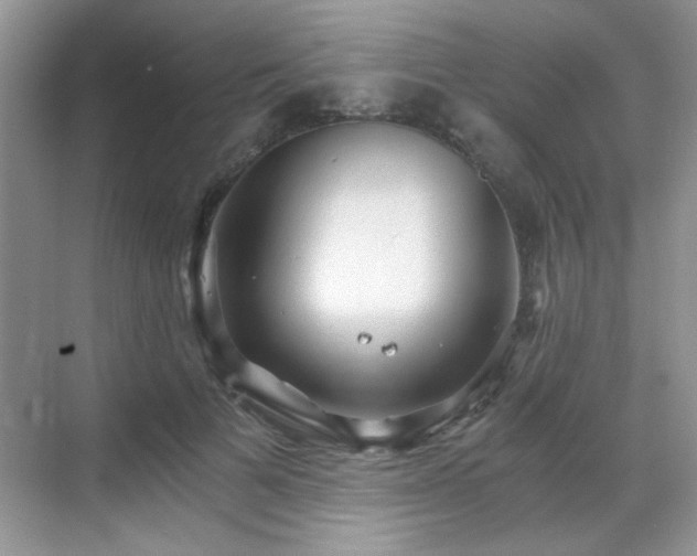 X0000068830697200605081213