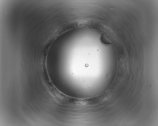 X0000068830698200605081213