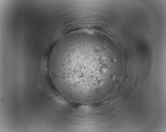 X0000068830699200605081213