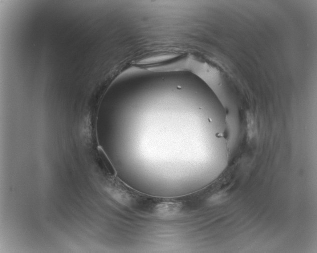 X0000068830700200605081213