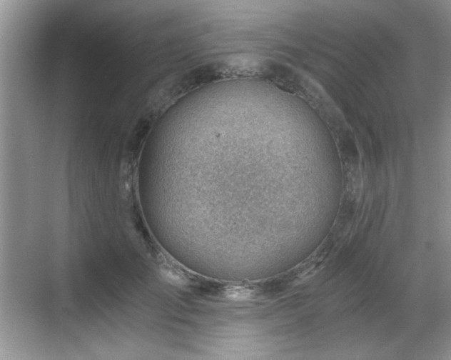 X0000068830701200605081213