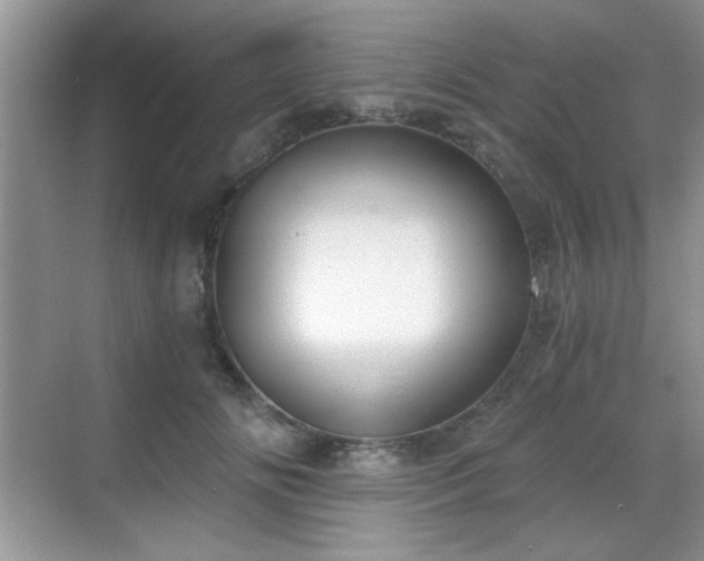 X0000068830702200605081213