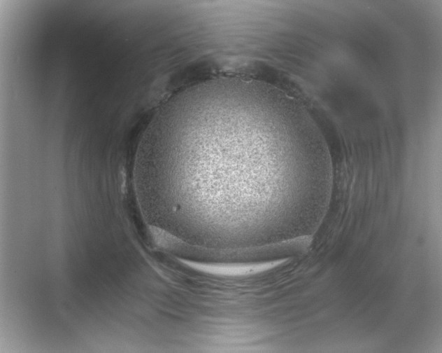 X0000068830703200605081213