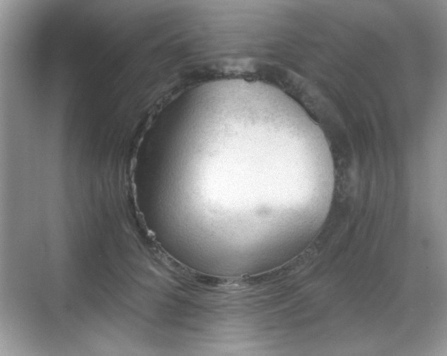 X0000068830704200605081213