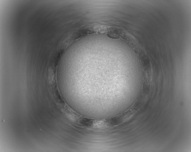 X0000068830705200605081213