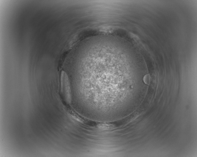 X0000068830707200605081213