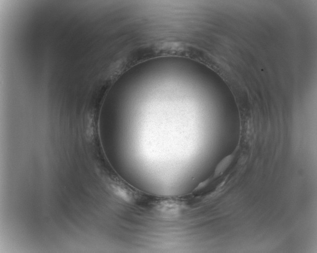 X0000068830708200605081213