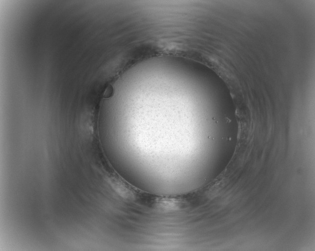 X0000068830710200605081213