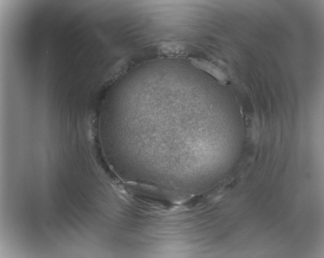 X0000068830712200605081213