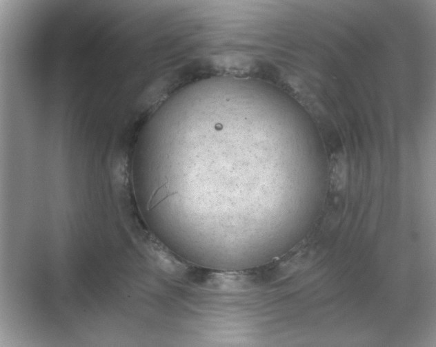 X0000068830713200605081213