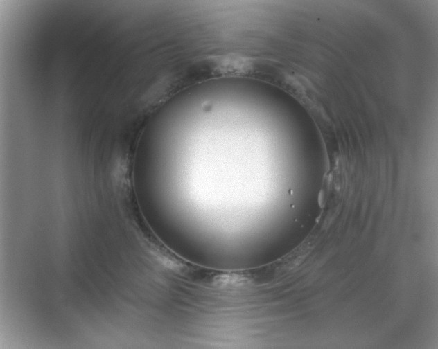 X0000068830714200605081213