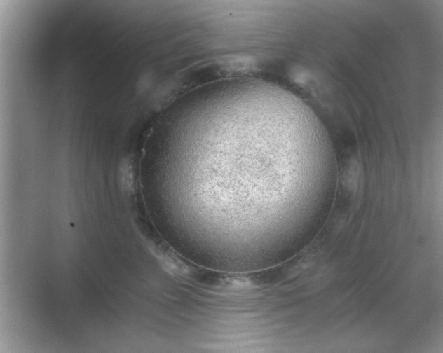 X0000068830715200605081213