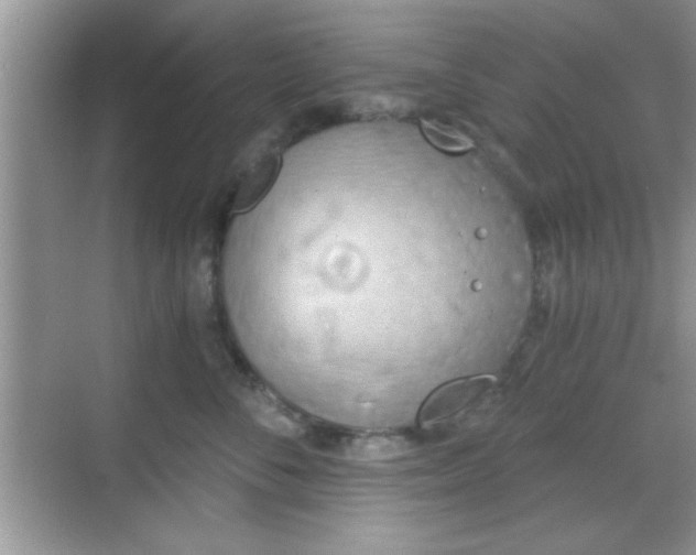 X0000068830716200605081213