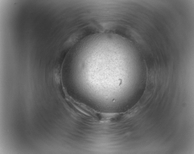 X0000068830719200605081213