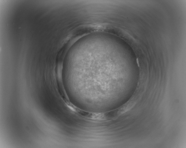 X0000068830720200605081213