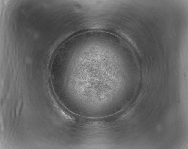 X0000068830721200605081212